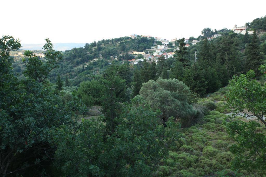 Villa Athina อาร์ยิรูโปลิส ห้อง รูปภาพ