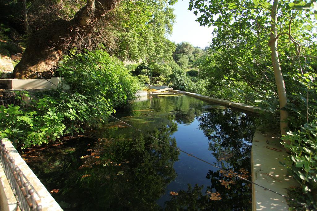 Villa Athina อาร์ยิรูโปลิส ห้อง รูปภาพ
